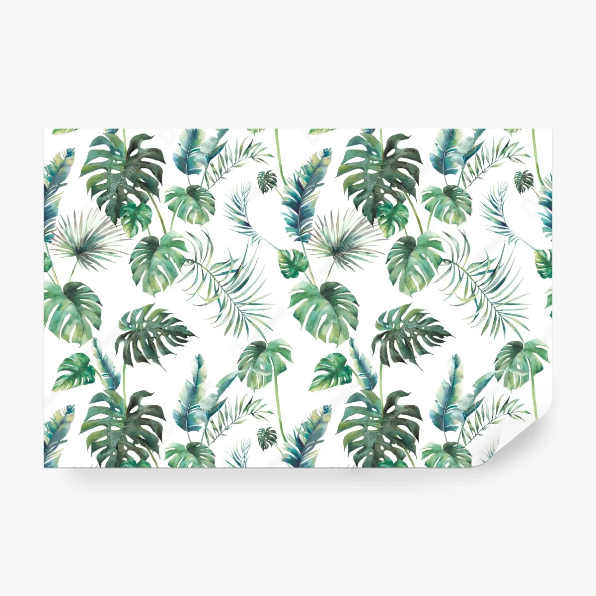 Fototapete aquarell tropische blätter muster – Wallnifity®