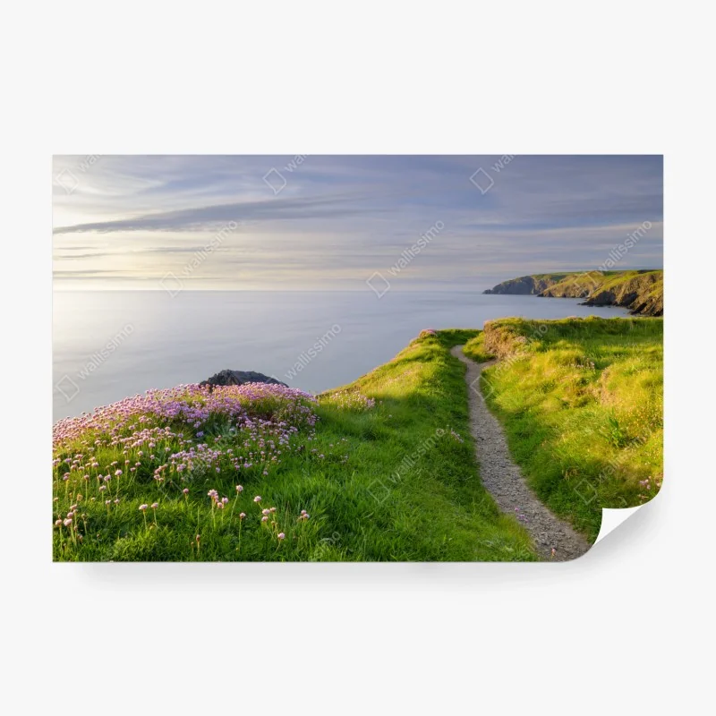 Fototapete Ceibwr Bay küstenpfad bei dämmerung