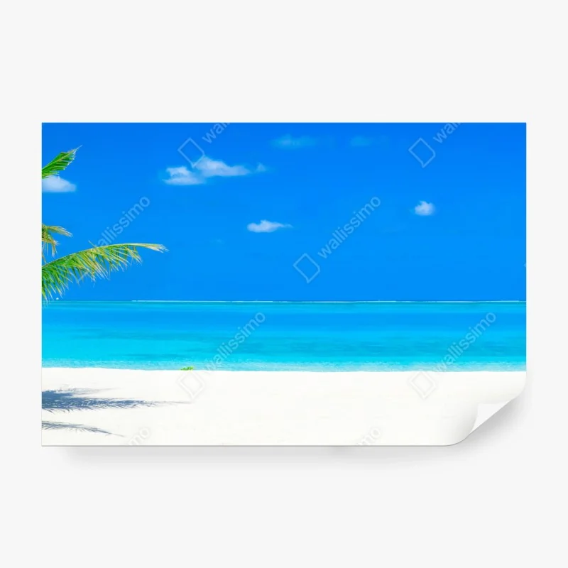 Fototapete nebliger nadelwald im morgengrauen – Wallnifity®