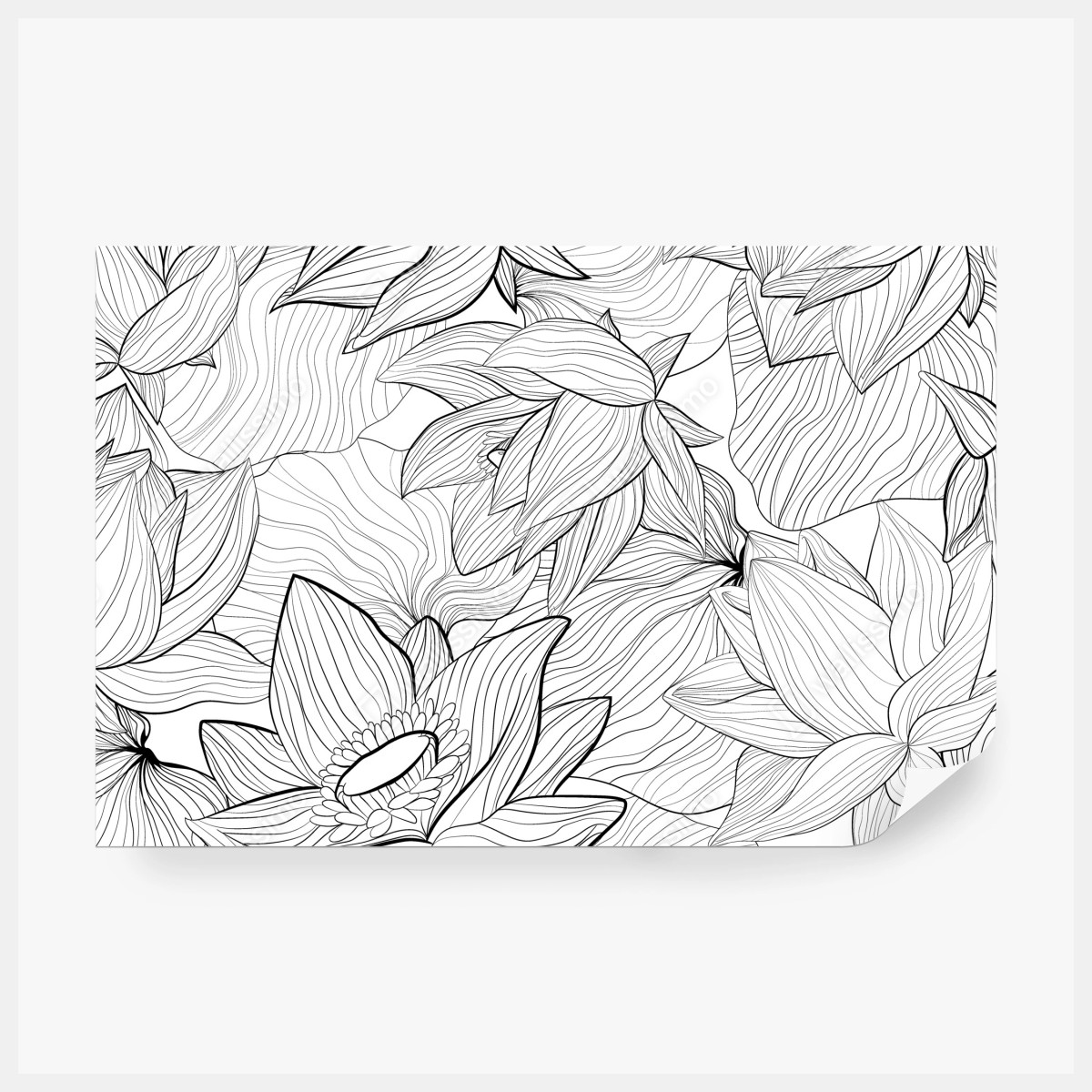 Fototapete zarte lotus-linienzeichnung – Wallnifity® Fototapete zarte lotus-linienzeichnung – Wallnifity®