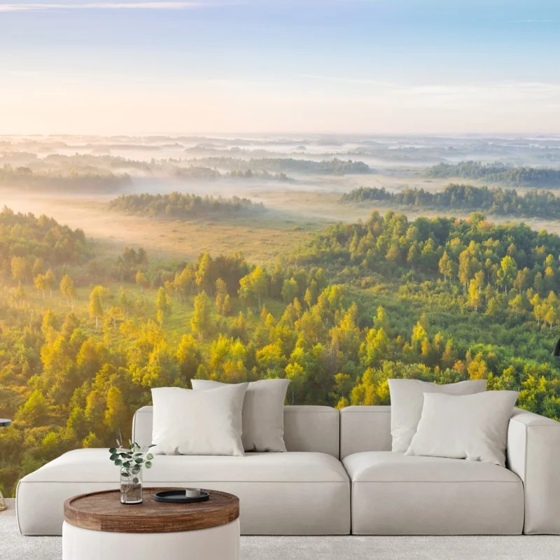 Fototapete nebliger morgen im sumpf von Zvanets