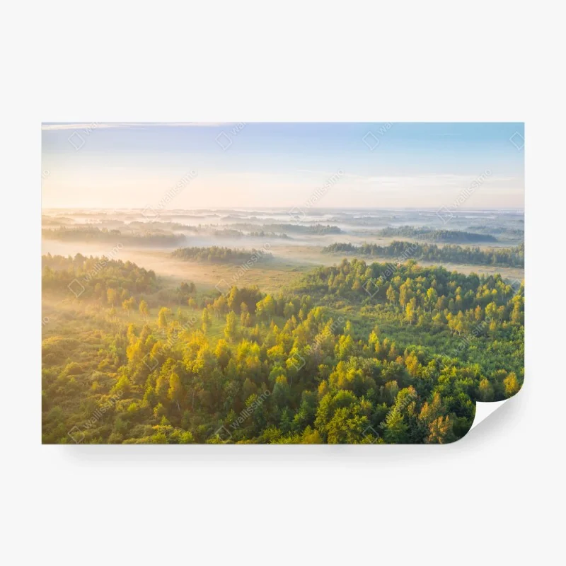 Fototapete rosa flamingos bei sonnenuntergang – Wallnifity®