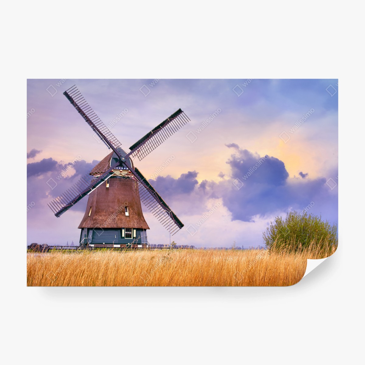 Fototapete historische windmühle auf goldenen feldern – Wallnifity® Fototapete historische windmühle auf goldenen feldern – Wallnifity®
