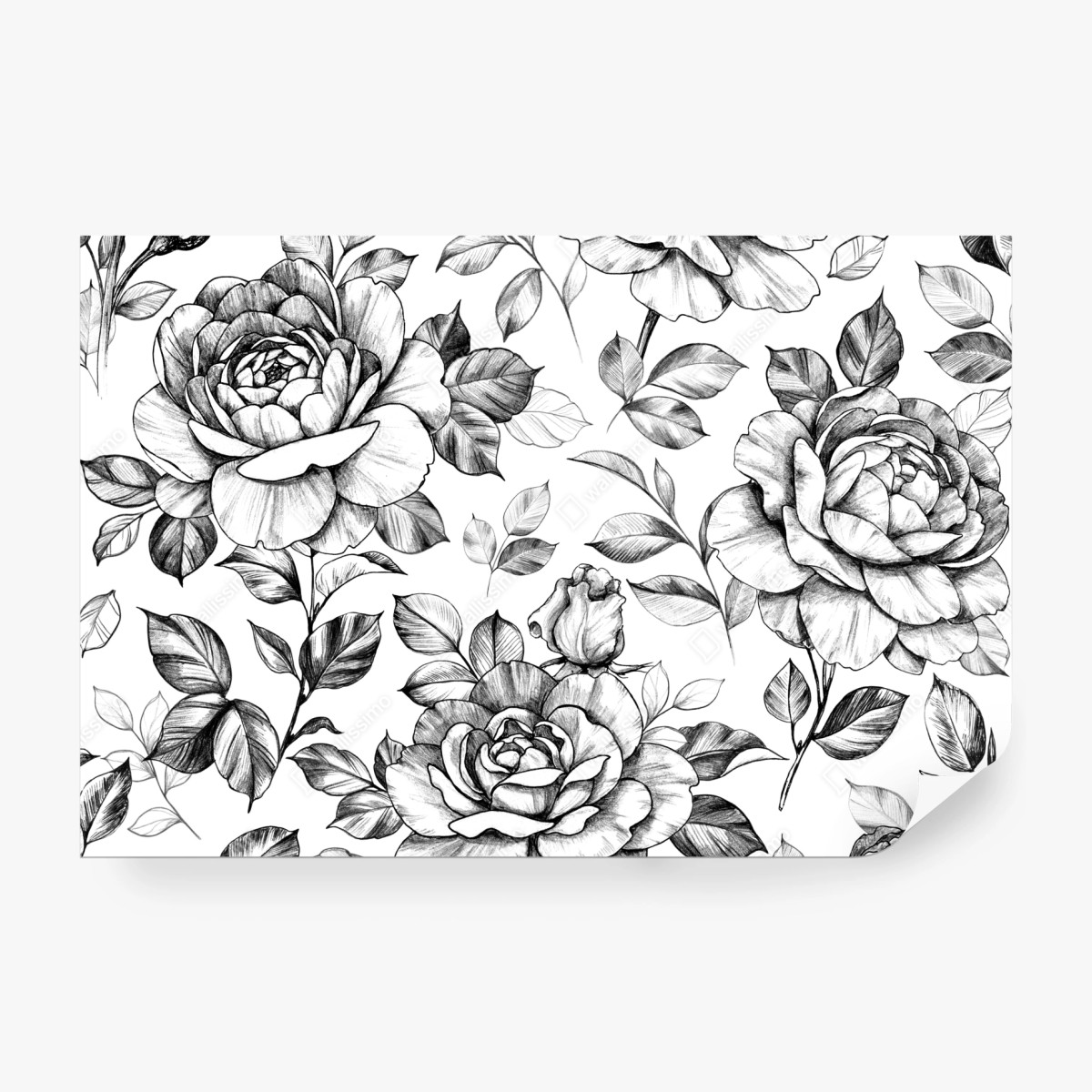 Fototapete handgezeichnetes rosenmuster – Wallnifity® Fototapete handgezeichnetes rosenmuster – Wallnifity®