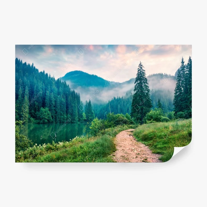 Fototapete tropischer strand mit palmen – Wallnifity®