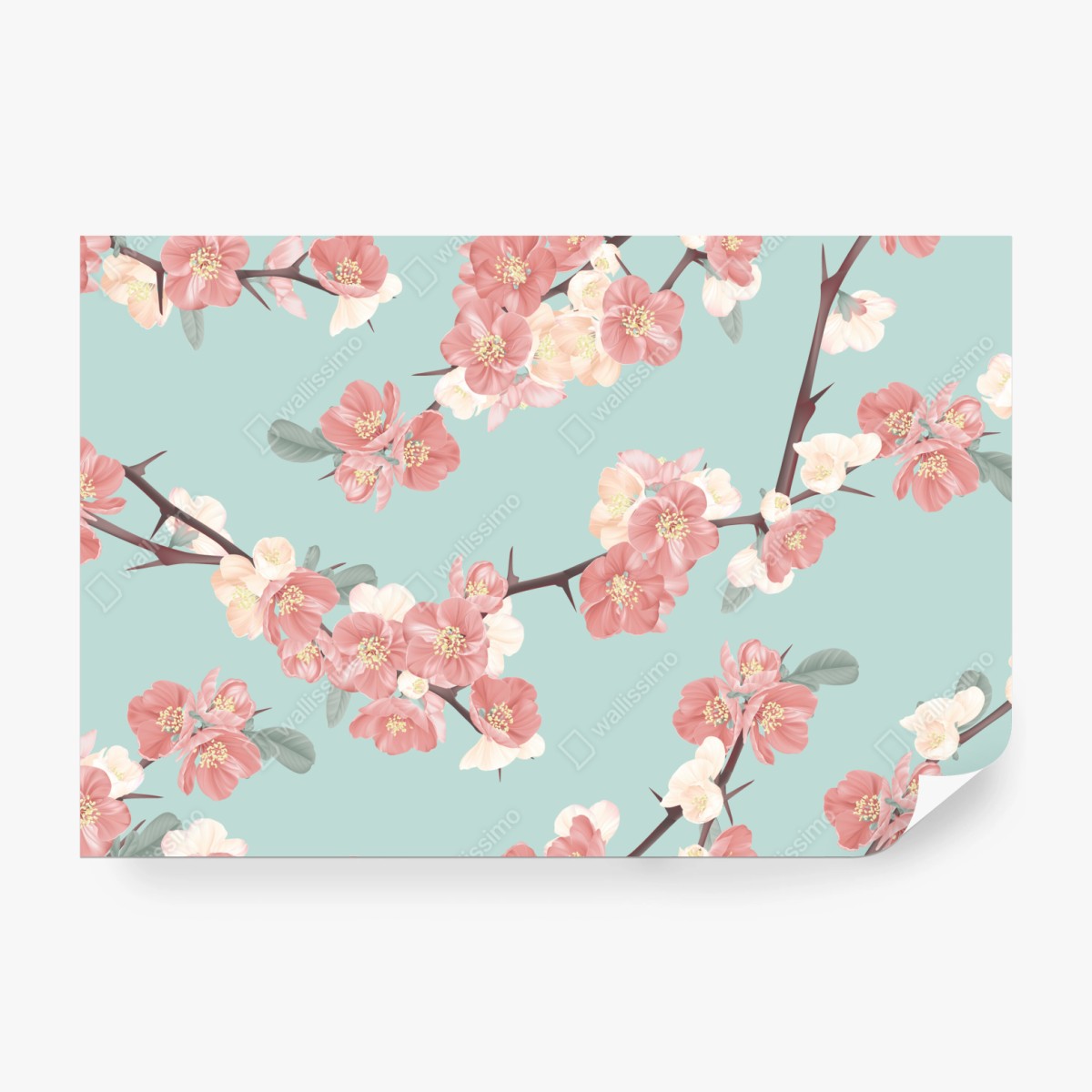 Fototapete pastelliges kirschblütenmuster auf mintfarbenem hintergrund – Wallnifity® Fototapete pastelliges kirschblütenmuster auf mintfarbenem hintergrund – Wallnifity®