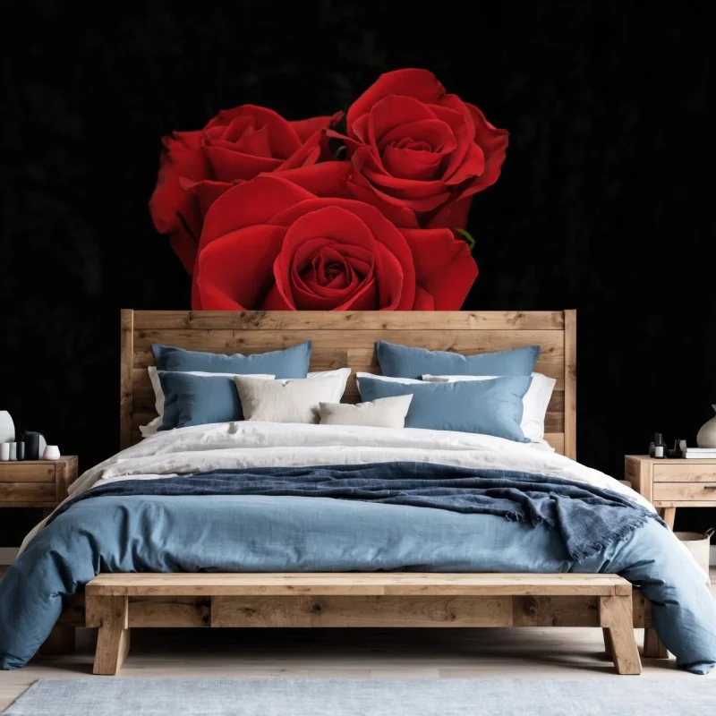 Fototapete rote rosen vor schwarzem hintergrund