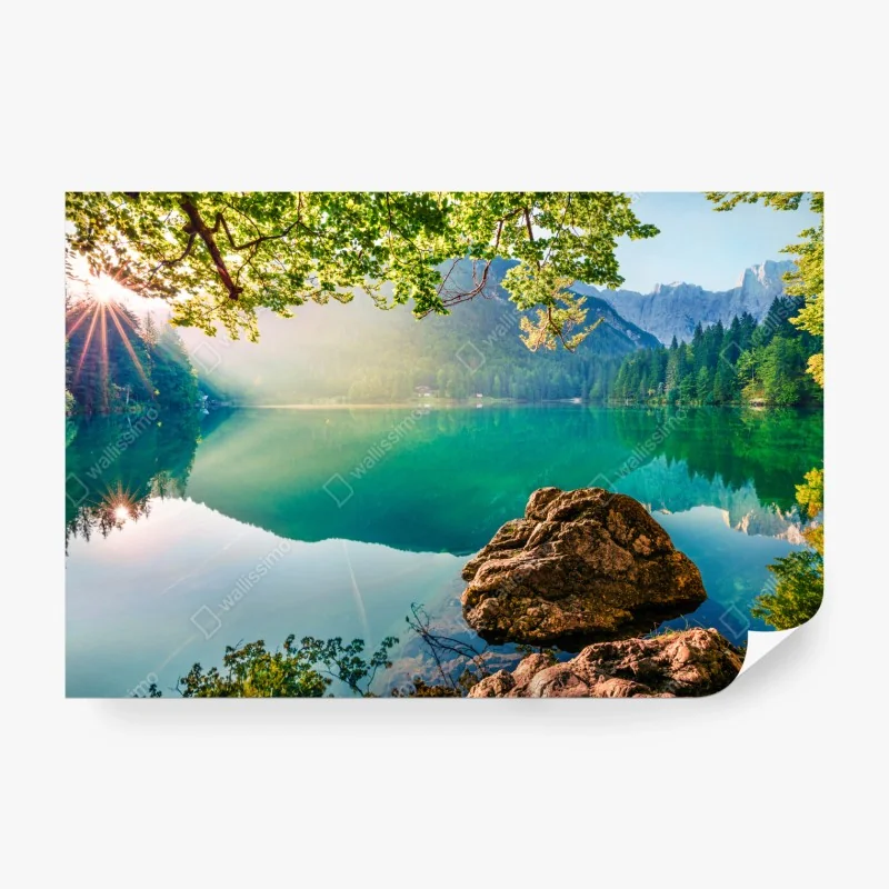 Fototapete nebliger wasserfall im dichten kiefernwald – Wallnifity®