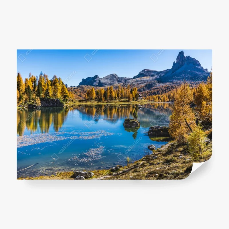 Fototapete üppiger nebliger waldwasserfall – Wallnifity®