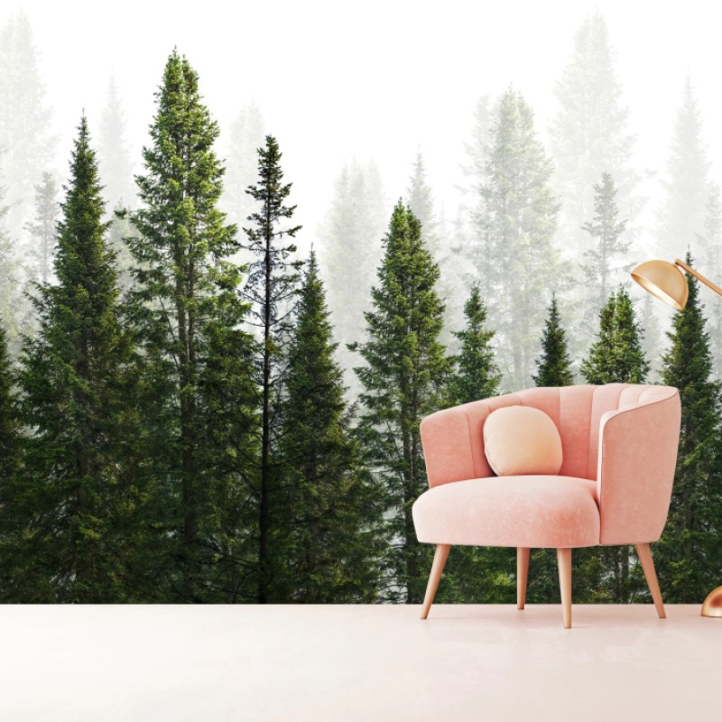 Fototapete nebliger tannenwald