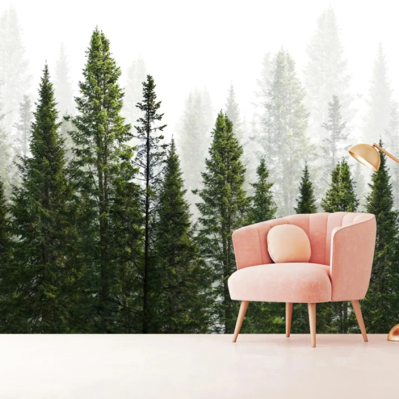 Fototapete nebliger tannenwald