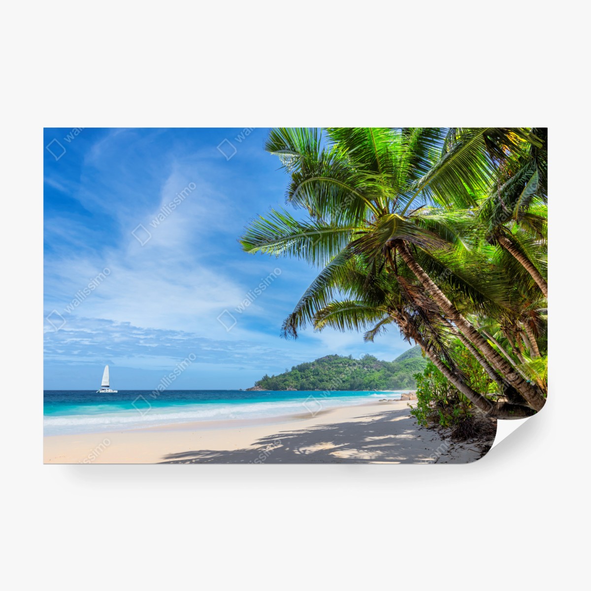 Fototapete tropischer strand mit palmen und segelboot – Wallnifity® Fototapete tropischer strand mit palmen und segelboot – Wallnifity®