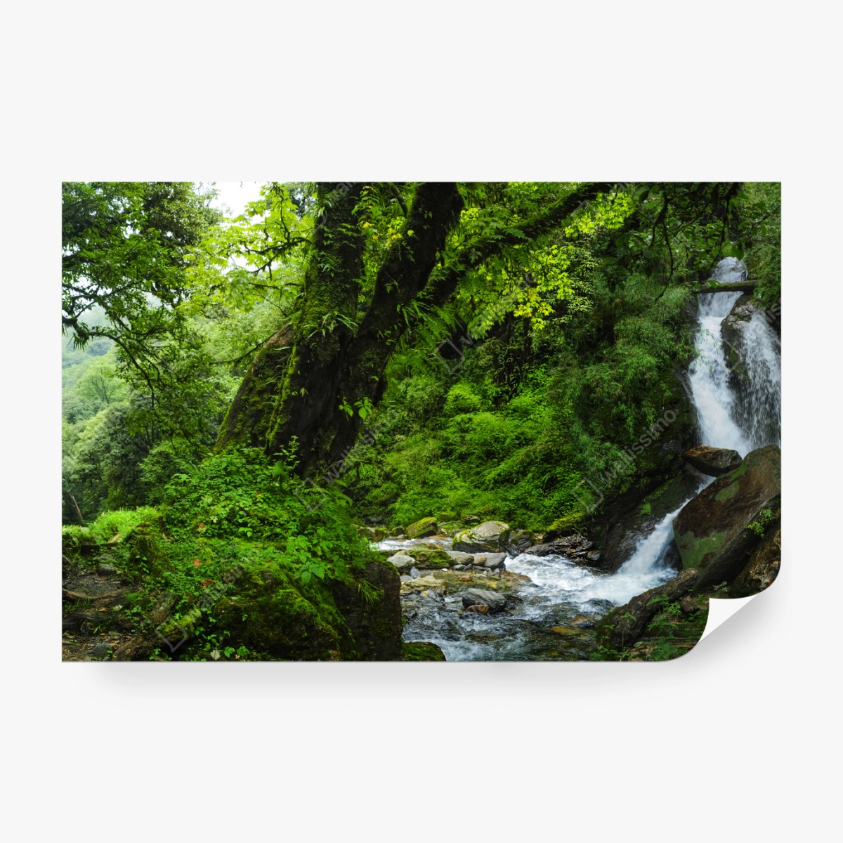Fototapete üppiger grüner wasserfall im wald – Wallnifity® Fototapete üppiger grüner wasserfall im wald – Wallnifity®