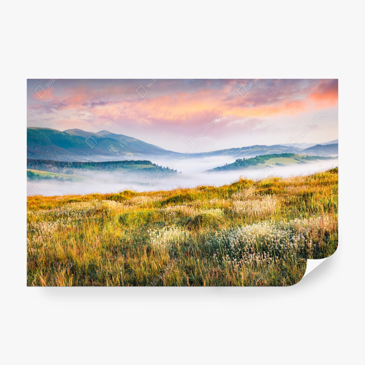 Fototapete nebliger morgen in den Karpaten – Wallnifity® Fototapete nebliger morgen in den Karpaten – Wallnifity®