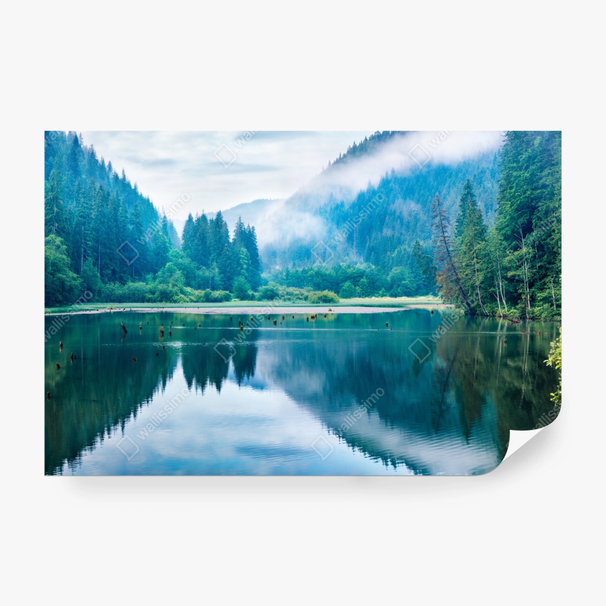 Fototapete nebliger morgen am see Lacu Rosu, Rumänien – Wallnifity® Fototapete nebliger morgen am see Lacu Rosu, Rumänien – Wallnifity®