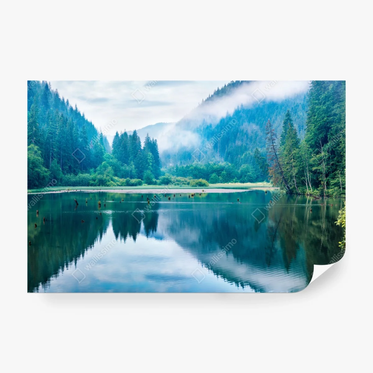 Fototapete nebliger morgen am see Lacu Rosu, Rumänien – Wallnifity®