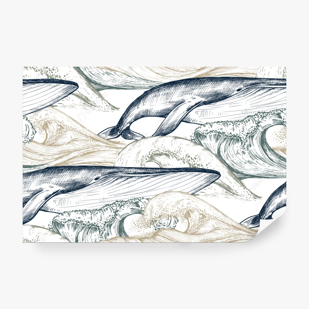 Fototapete handgezeichnete wale und ozeanwellen – Wallnifity®