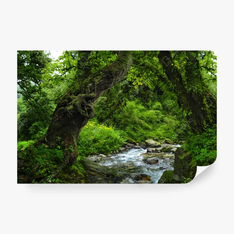 Fototapete rustikales stillleben mit gewürzen und gemüse – Wallnifity®