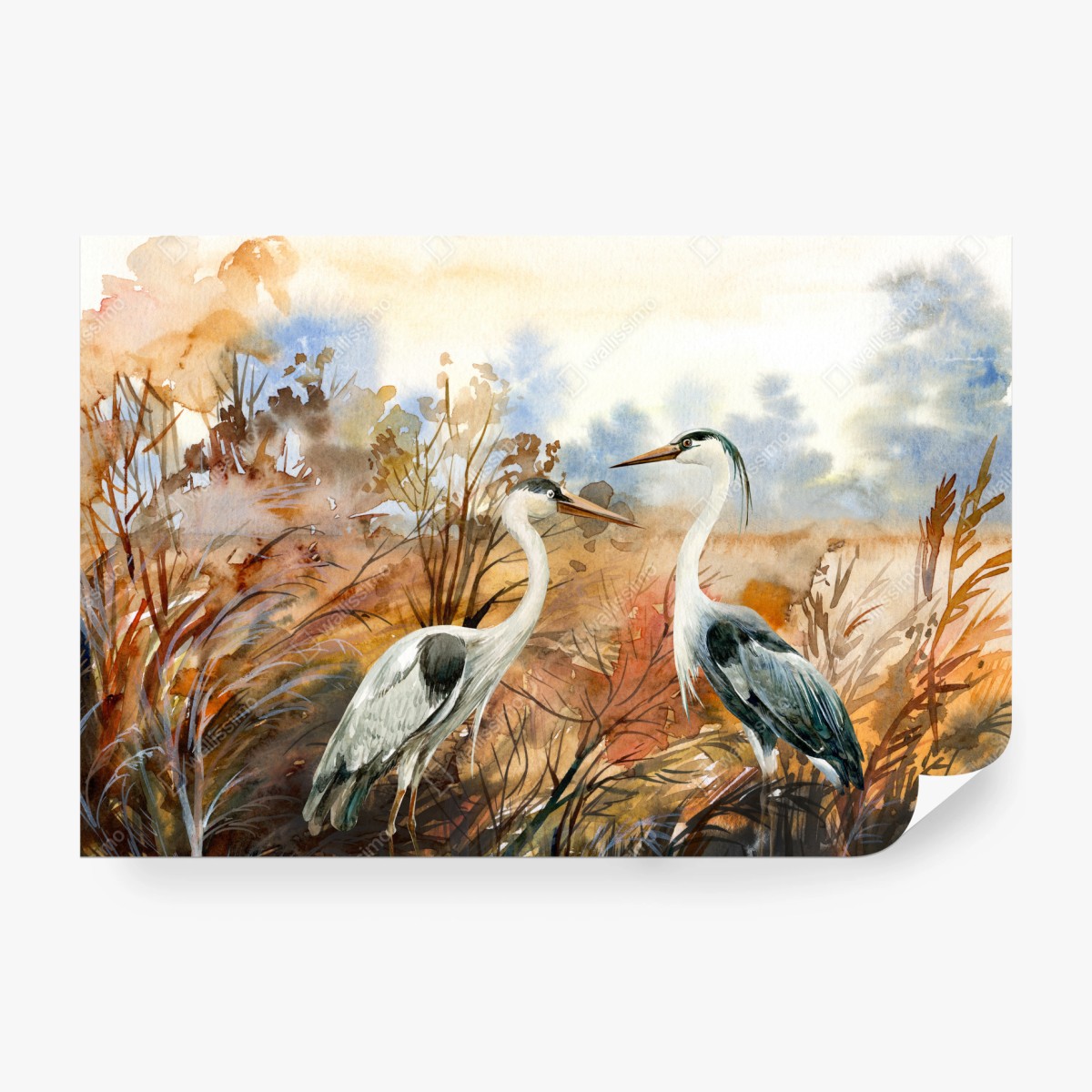 Fototapete zwei reiher im herbstlichen sumpf – Wallnifity® Fototapete zwei reiher im herbstlichen sumpf – Wallnifity®