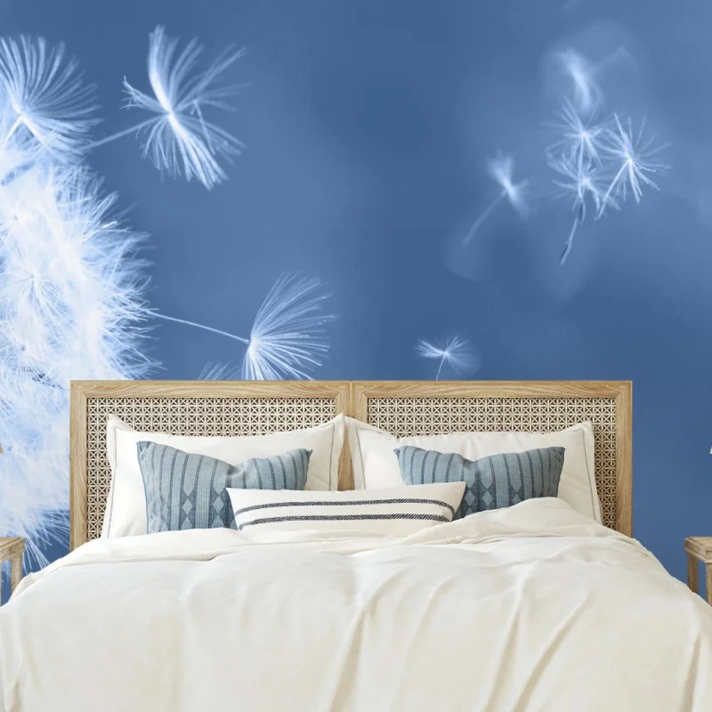 Fototapete zarte löwenzahnsamen in blau – Wallnifity®