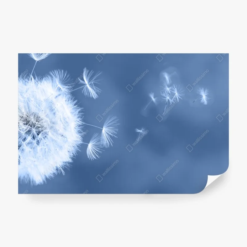 Fototapete blaue und goldene abstrakte blasen – Wallnifity®