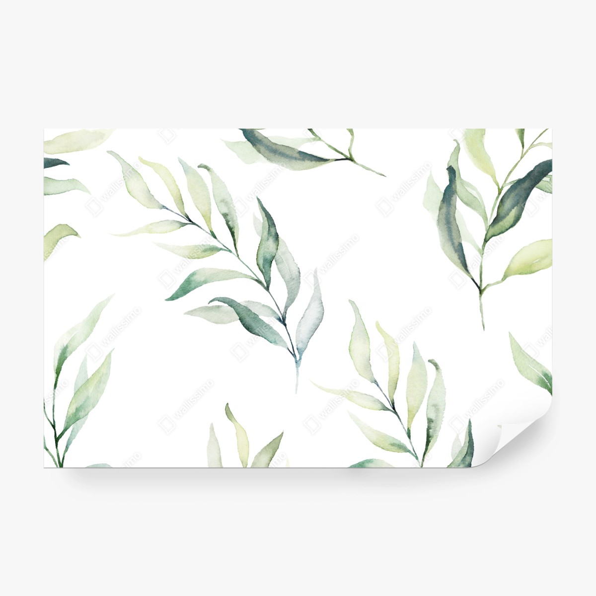 Fototapete sanftes aquarellmuster mit eukalyptusblättern – Wallnifity®