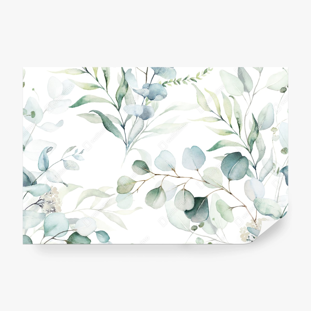 Fototapete aquarell eukalyptus blättermuster – Wallnifity® Fototapete aquarell eukalyptus blättermuster – Wallnifity®