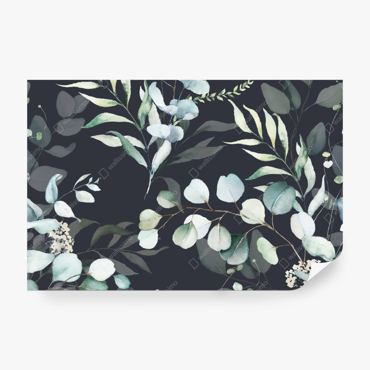 Fototapete eukalyptus aquarell botanisches muster auf dunklem hintergrund – Wallnifity® Fototapete eukalyptus aquarell botanisches muster auf dunklem hintergrund – Wallnifity®