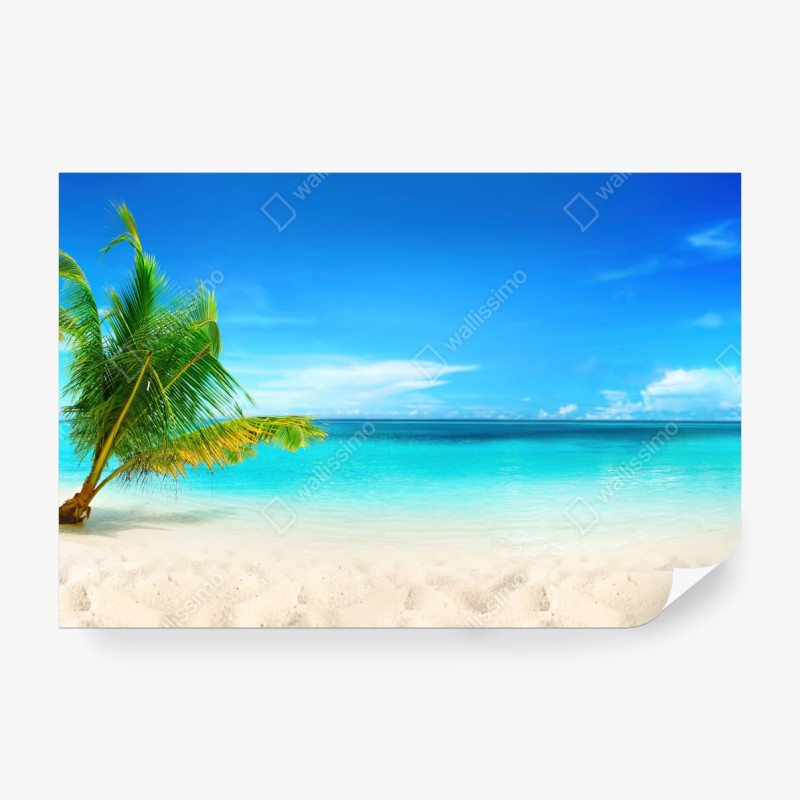 Fototapete üppiger wasserfall im Mt Field National Park, Tasmania – Wallnifity®