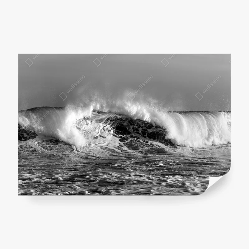 Fototapete dramatische schwarzweiß-welle des ozeans