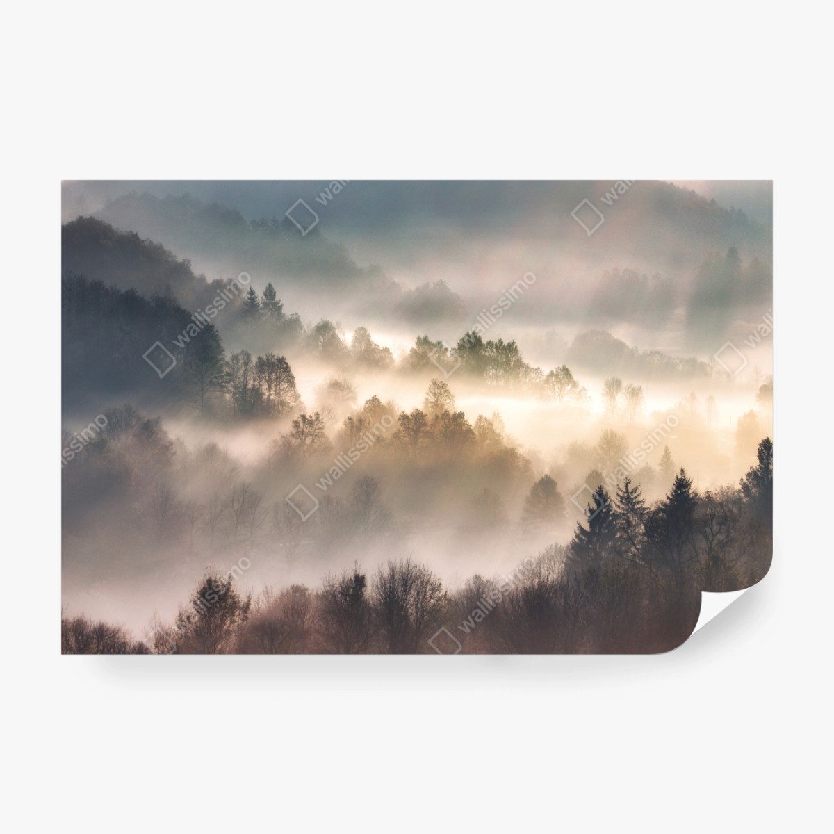 Fototapete nebliger wald im morgengrauen – Wallnifity® Fototapete nebliger wald im morgengrauen – Wallnifity®