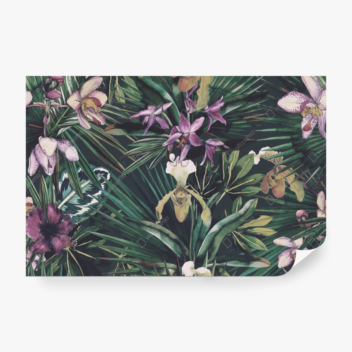 Fototapete tropische orchideen in aquarell und palmblättern – Wallnifity®