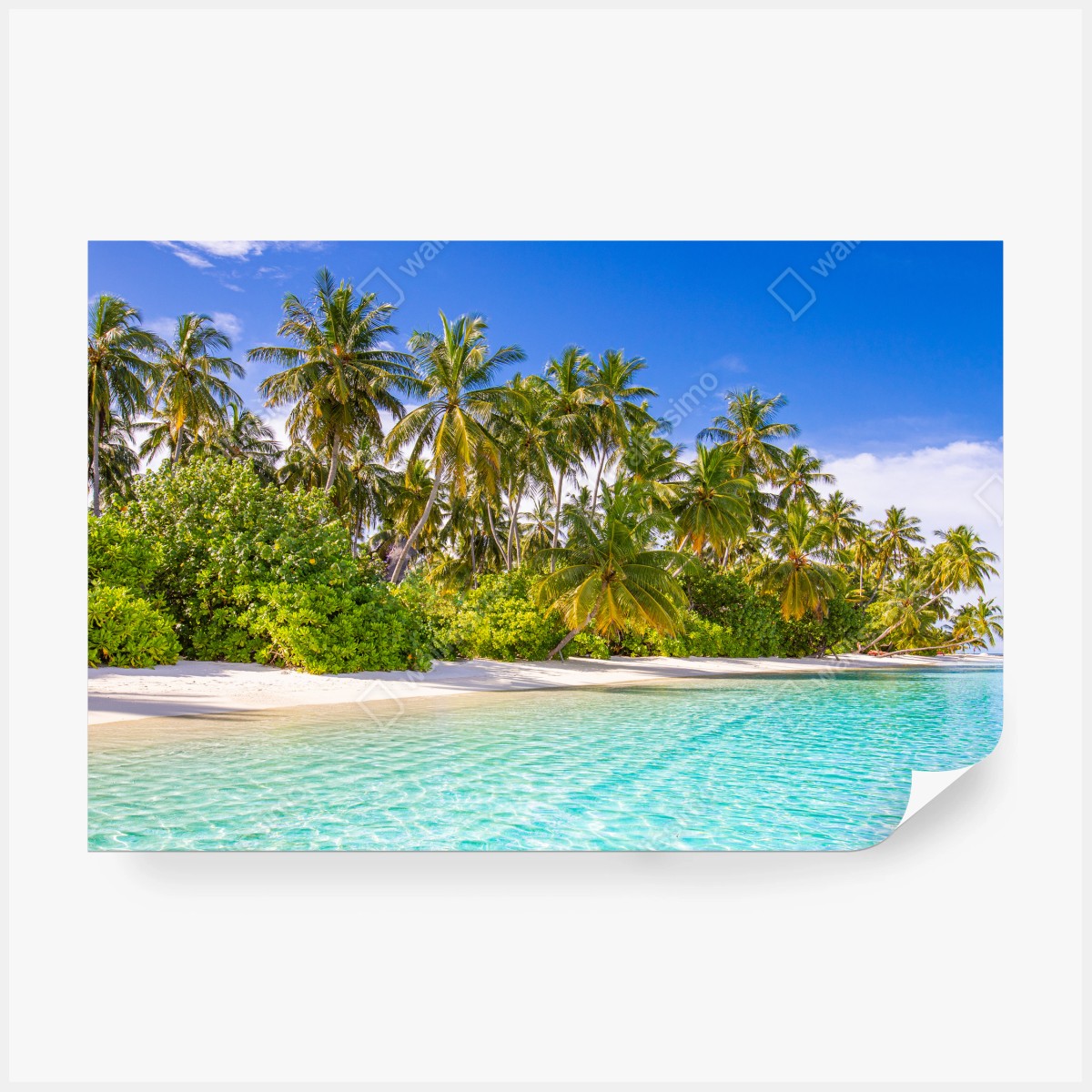 Fototapete tropischer palmenstrand – Wallnifity® Fototapete tropischer palmenstrand – Wallnifity®