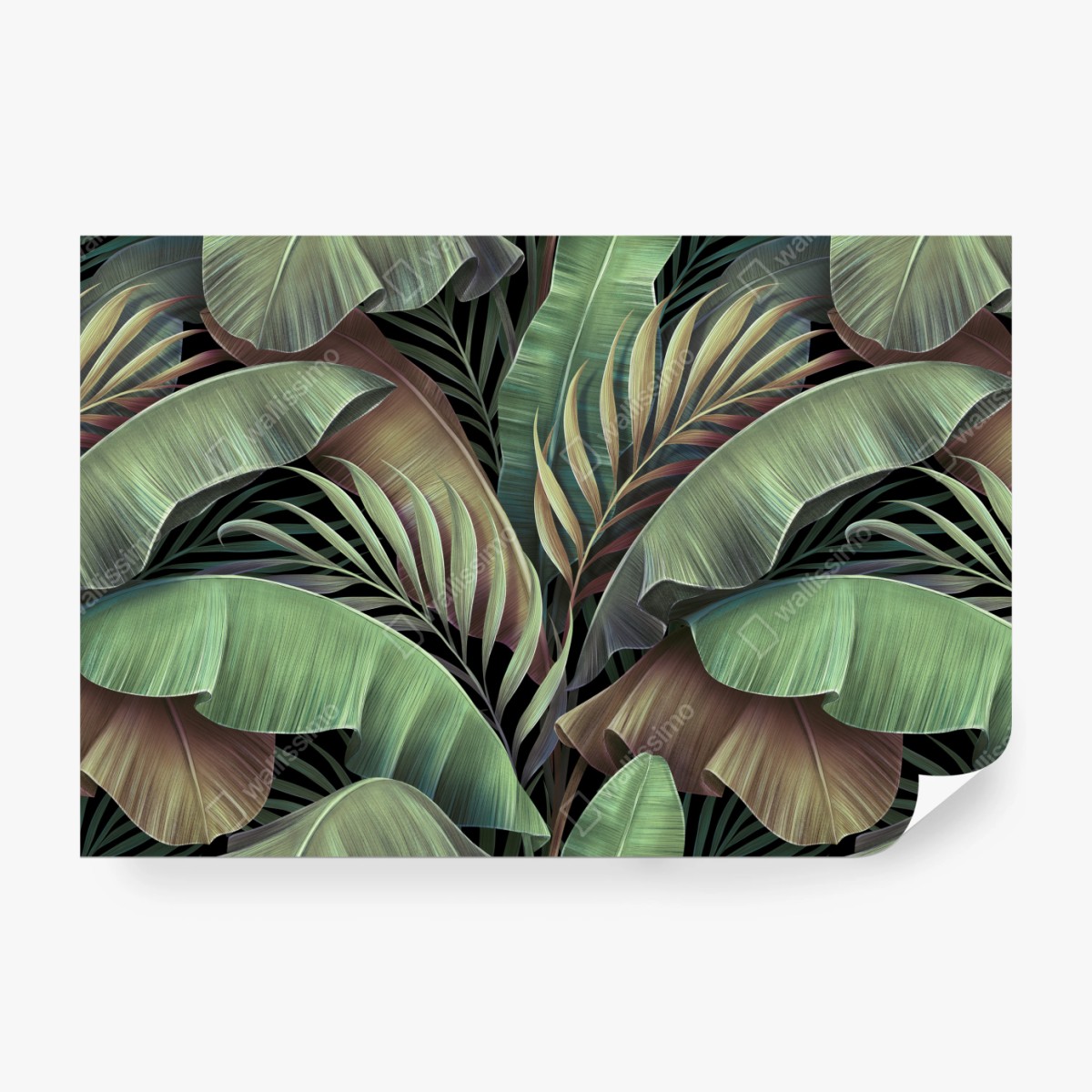 Fototapete tropisches blättermuster – Wallnifity®