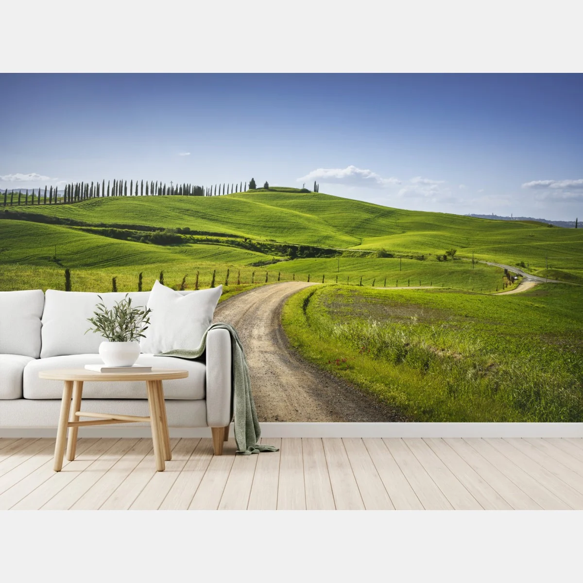 Fototapete ländliche straße in der Toskana durch grüne hügel – Wallnifity®