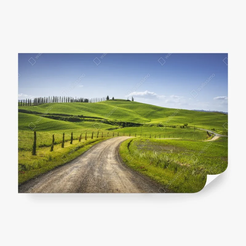 Fototapete üppige tropische dschungellandschaft – Wallnifity®