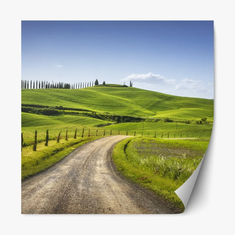Repositionierbarer Aufkleber ländliche straße in der Toskana durch grüne hügel