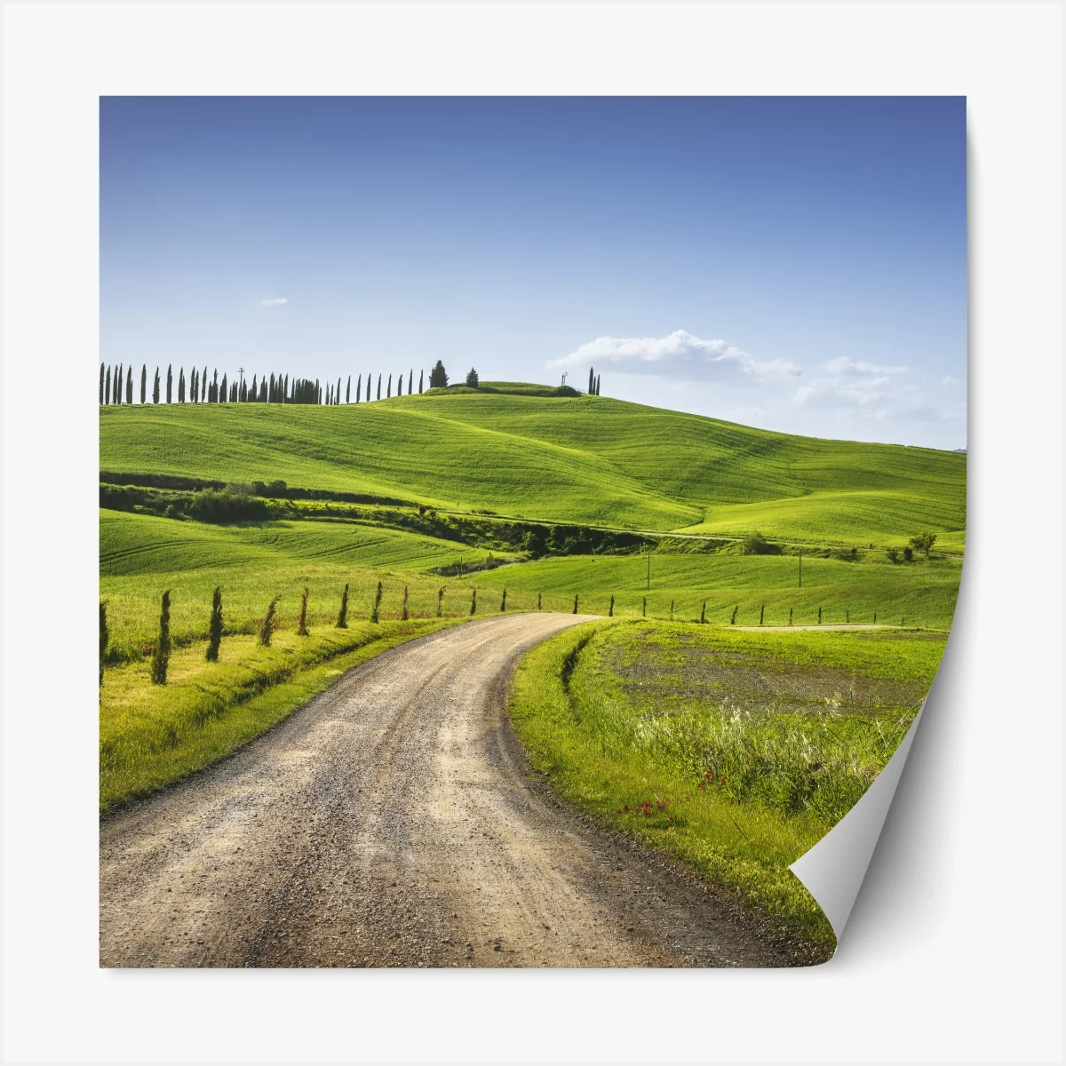 Repositionierbarer Aufkleber ländliche straße in der Toskana durch grüne hügel – Wallnifity® Repositionierbarer Aufkleber ländliche straße in der Toskana durch grüne hügel – Wallnifity®