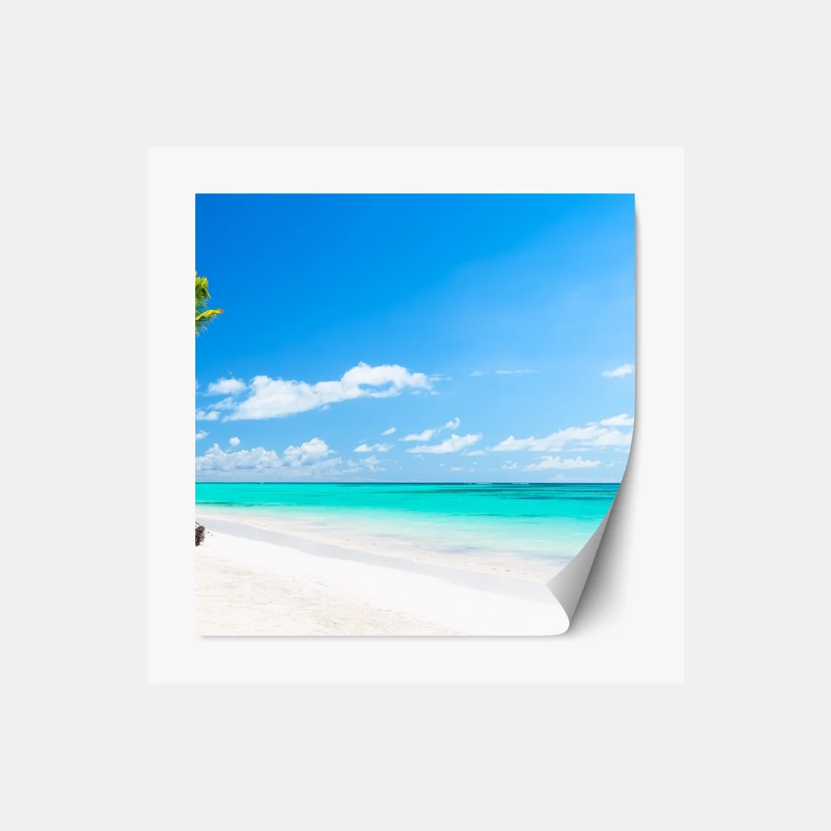 Repositionierbarer Aufkleber tropisches strandpanorama in Punta Cana – Wallnifity® Repositionierbarer Aufkleber tropisches strandpanorama in Punta Cana – Wallnifity®