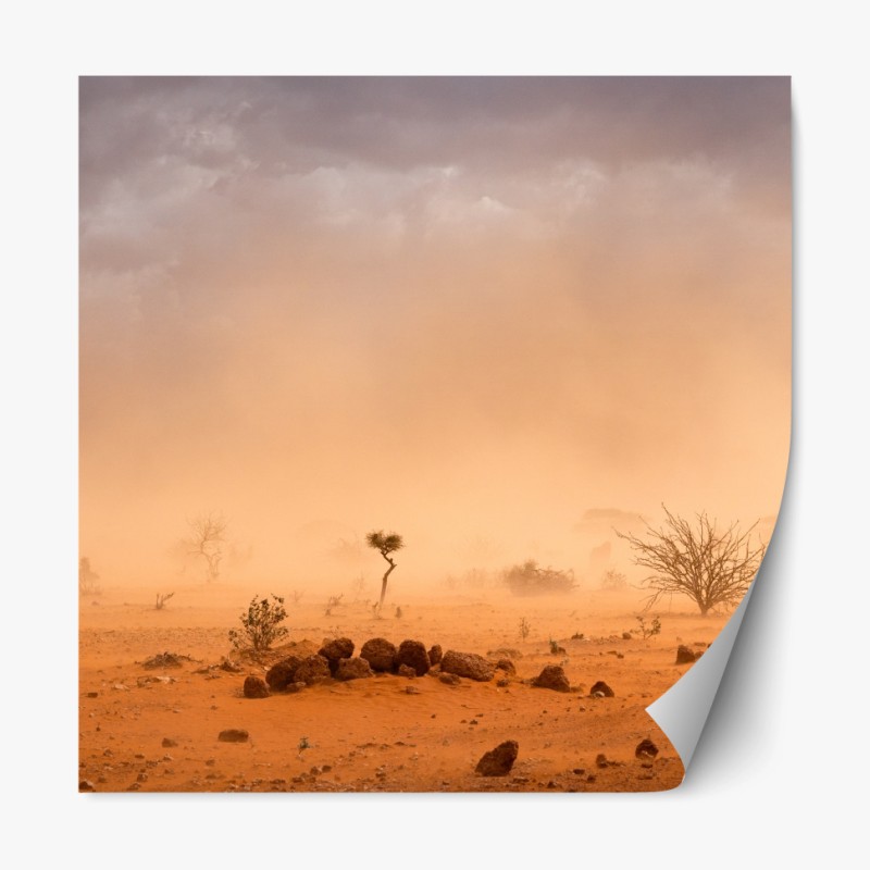 Repositionierbarer Aufkleber sonnenbeschienenes rapsfeld im abendlicht – Wallnifity®