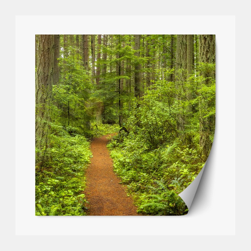 Repositionierbarer Aufkleber tropisches zebra-blumenmuster – Wallnifity®