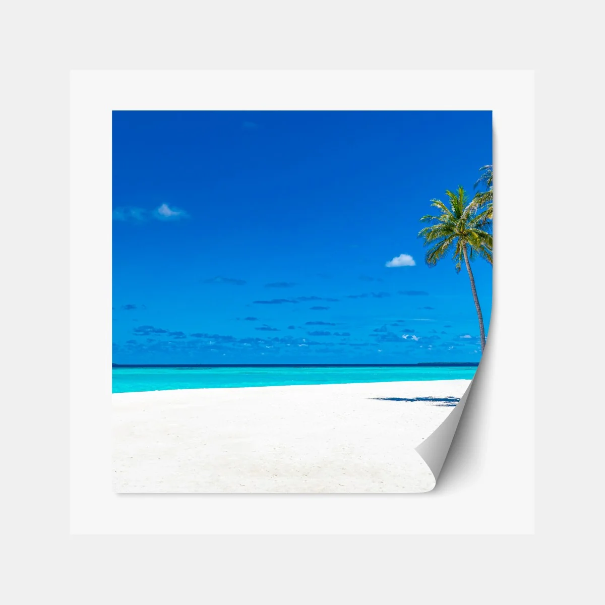 Repositionierbarer Aufkleber tropischer türkisstrand – Wallnifity® Repositionierbarer Aufkleber tropischer türkisstrand – Wallnifity®