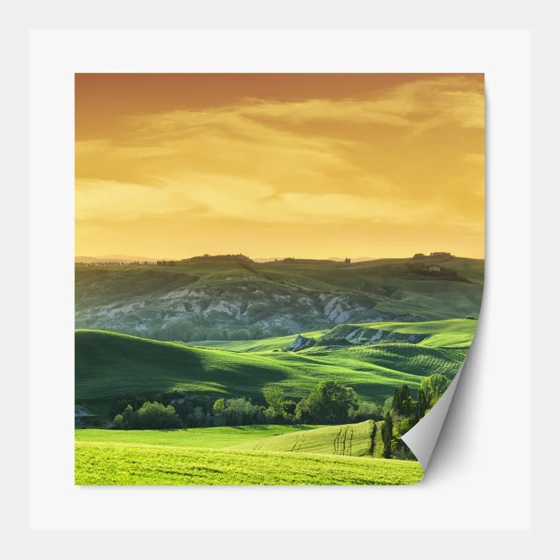 Repositionierbarer Aufkleber waldfreunde blumenmuster fürs kinderzimmer – Wallnifity®