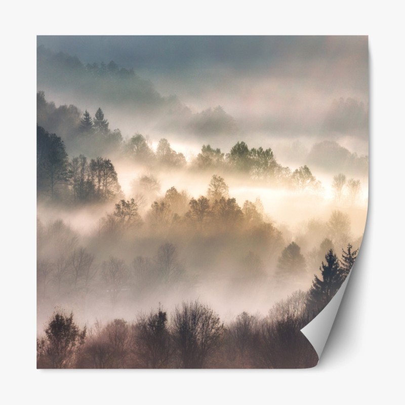 Repositionierbarer Aufkleber nebliger wald im morgengrauen