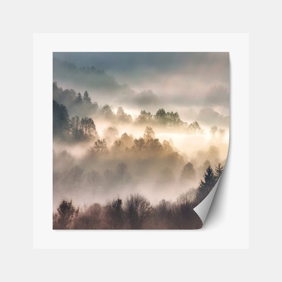 Repositionierbarer Aufkleber nebliger wald im morgengrauen – Wallnifity® Repositionierbarer Aufkleber nebliger wald im morgengrauen – Wallnifity®