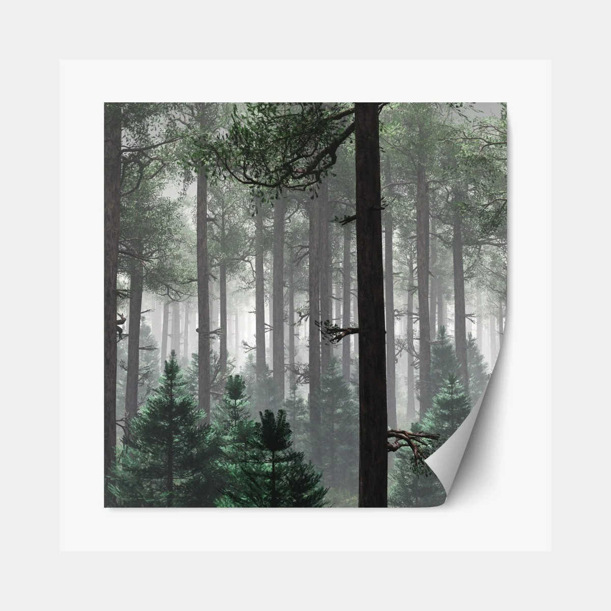 Repositionierbarer Aufkleber nebliger immergrüner wald – Wallnifity® Repositionierbarer Aufkleber nebliger immergrüner wald – Wallnifity®