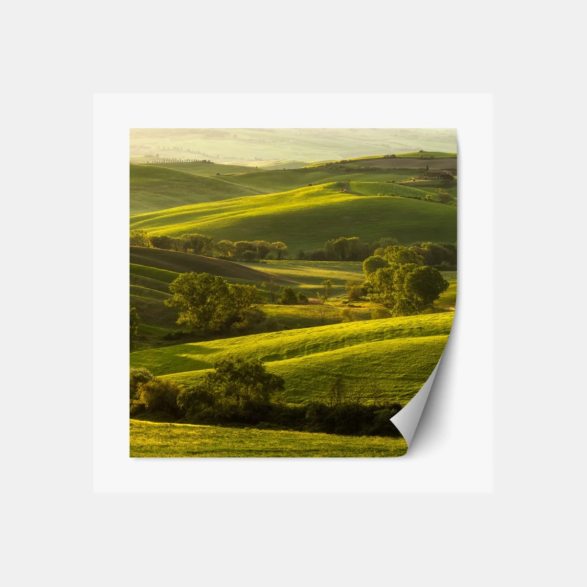 Repositionierbarer Aufkleber sonnenbeschienene grüne hügel – Wallnifity® Repositionierbarer Aufkleber sonnenbeschienene grüne hügel – Wallnifity®