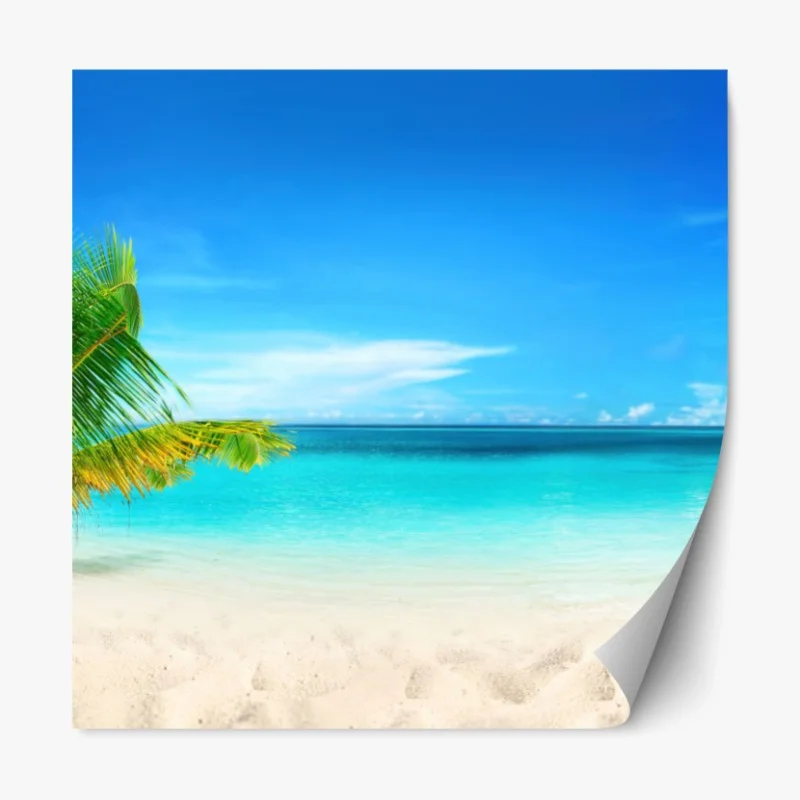 Repositionierbarer Aufkleber sonnenbeschienene wiese im abendlicht – Wallnifity®