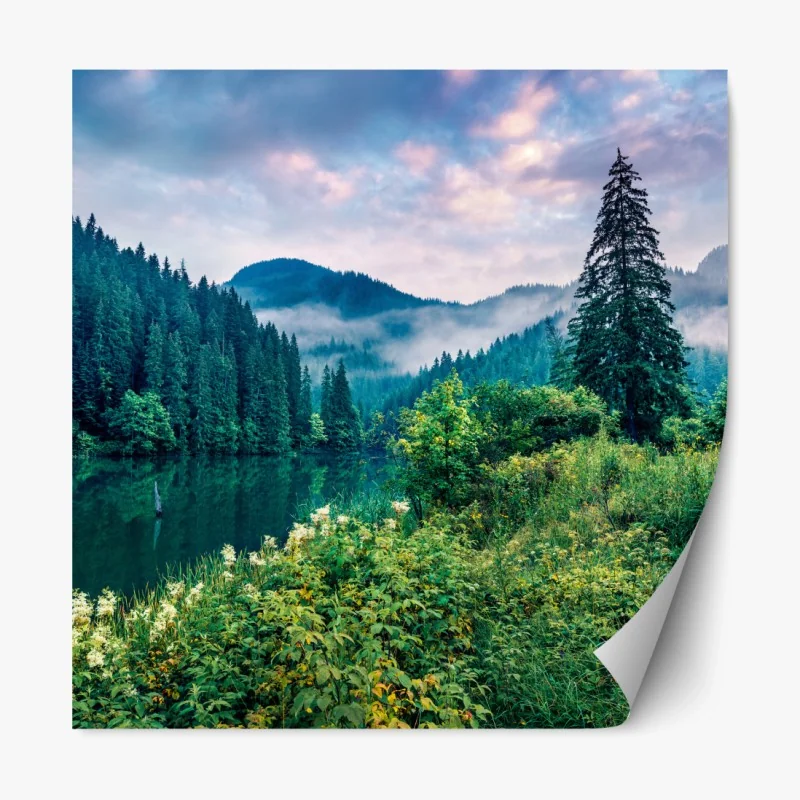 Repositionierbarer Aufkleber moosbedeckter waldbach – Wallnifity®