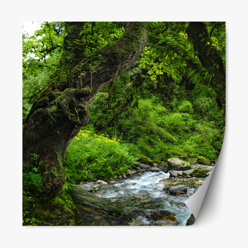 Repositionierbarer Aufkleber pastell tropisches vögel- und blumenmuster – Wallnifity®